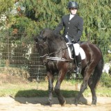 Chikara riders at Neigh-Bours Day!