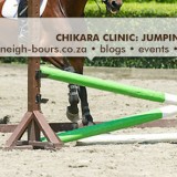 Mini Clinic: Jumping for beginners or the rusty