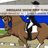 Dressage Test prep clinic & mock show