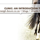 Clinic: Introduction to Lateral Work