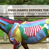 Equi-Hands Exposes the Equine Muscles