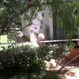 Gorgeous garden cottage available at Chikara