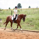 Schooling Sunny
