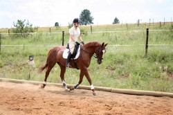 Schooling Sunny