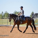 Sarah on Fury, who is Meryl's 8yr old Friesian x TB mare