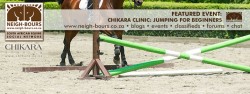 Mini Clinic: Jumping for beginners or the rusty @ Chikara Stables