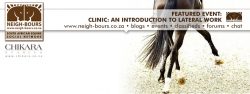 Clinic: Introduction to Lateral Work @ Chikara 