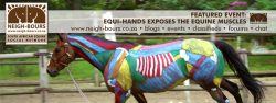 Equi-Hands Exposes the Equine Muscles @ Chikara Stables
