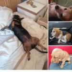 WhatsApp Image 2026-03-14 at 14.25.34