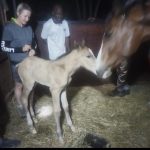 WhatsApp Image 2026-03-14 at 14.36.58