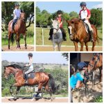 WhatsApp Image 2026-03-14 at 14.41.466