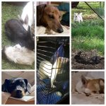 WhatsApp Image 2026-03-14 at 14.42.333