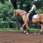 WhatsApp Image 2026-03-14 at 14.48.04