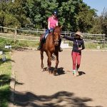 WhatsApp Image 2026-03-14 at 14.58.47