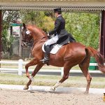 WhatsApp Image 2026-03-14 at 14.59.39