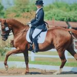 WhatsApp Image 2026-03-14 at 14.59.399