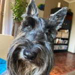 WhatsApp Image 2026-03-14 at 15.11.51d