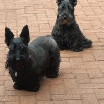 WhatsApp Image 2026-03-14 at 15.12.01