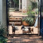 WhatsApp Image 2026-03-14 at 15.12.011