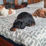 WhatsApp Image 2026-03-14 at 15.12.02