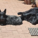 WhatsApp Image 2026-03-14 at 15.12.03