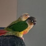 WhatsApp Image 2026-03-14 at 15.12.06