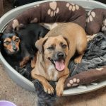 WhatsApp Image 2026-03-14 at 15.12.07