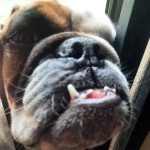 WhatsApp Image 2026-03-14 at 15.12.08