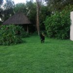 WhatsApp Image 2026-03-14 at 15.41.53c