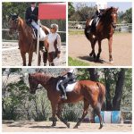 WhatsApp Image 2026-03-24 at 09.00.17