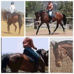 WhatsApp Image 2026-03-24 at 09.00.18 (1)