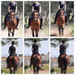 WhatsApp Image 2026-03-24 at 09.00.18 (2)