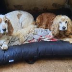 WhatsApp Image 2026-03-24 at 09.00.29 (1)