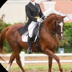 WhatsApp Image 2026-03-27 at 08.35.17