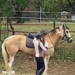 lynn with horse
